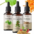 Zestaw ekstraktów mikrocząsteczkowych: Ashwagandha, Gotu Kola, Cordyceps 3x50 ml