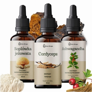 Zestaw ekstraktów mikrocząsteczkowych: Ashwagandha, Soplówka Jeżowata, Cordyceps 3x50 ml