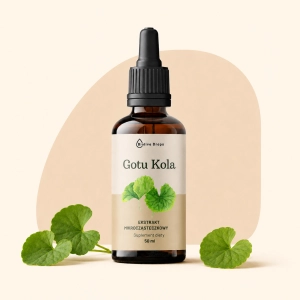 Gotu Kola ekstrakt krople 50 ml Biolive Drops