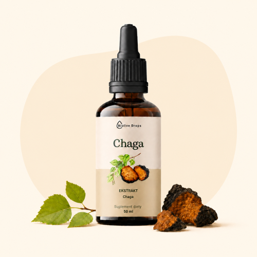 ChatGPT Image 7 lip 2026, 13_14_24 (9).png