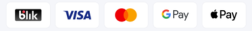 payment methods: Visa, mastercard, paypay, google pay, apple pay